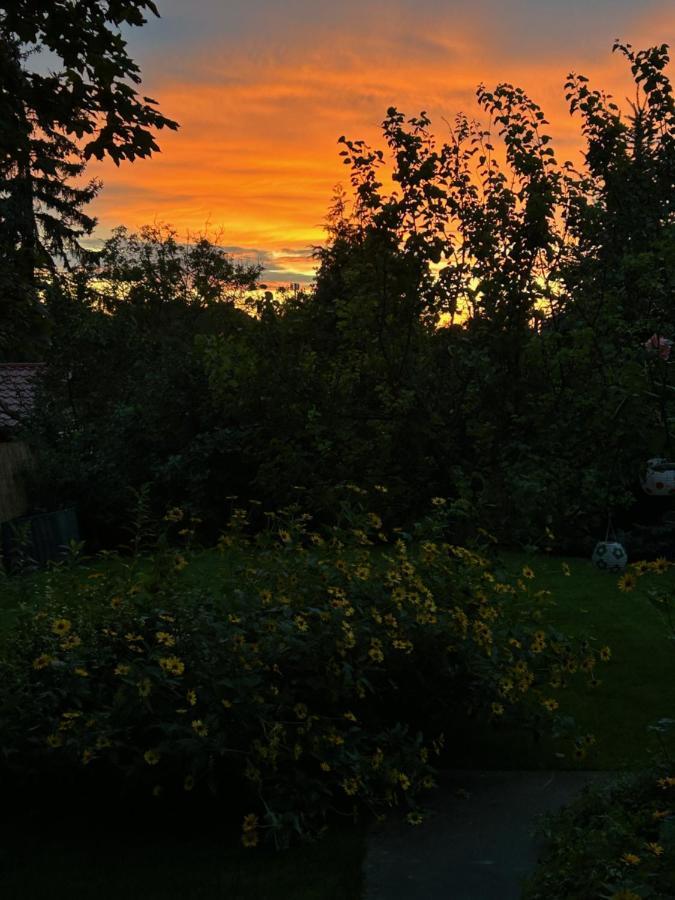 Vila Kisvirag Vendeghaz Balatonvilágos Exteriér fotografie